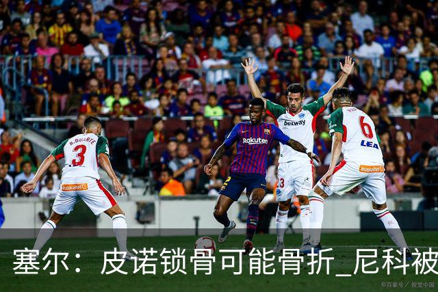 塞尔：皮诺锁骨可能骨折 尼科被铲伤可能提前结束世界杯之旅