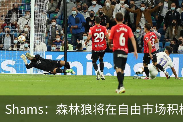 Shams：森林狼将在自由市场积极补强4号位 但他们只能提供底薪