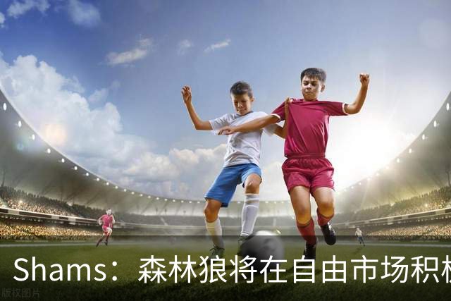 Shams：森林狼将在自由市场积极补强4号位 但他们只能提供底薪